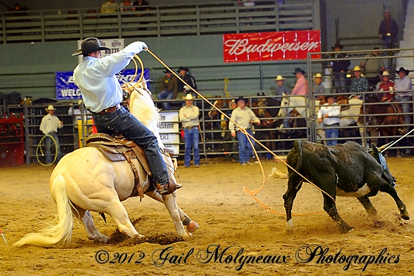 2012 PRCA Heel Horse of the Year sells at Billings Sale