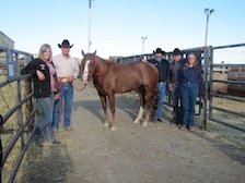 Western Horse Sales Unlimited 2013 Reserve High Seller