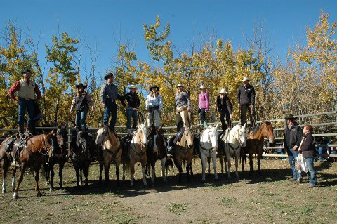 Wild Deuce Working Mountain Horse Competition & Sale