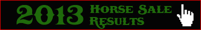 Horse Sale Results for 2013 on Northernhorse.com