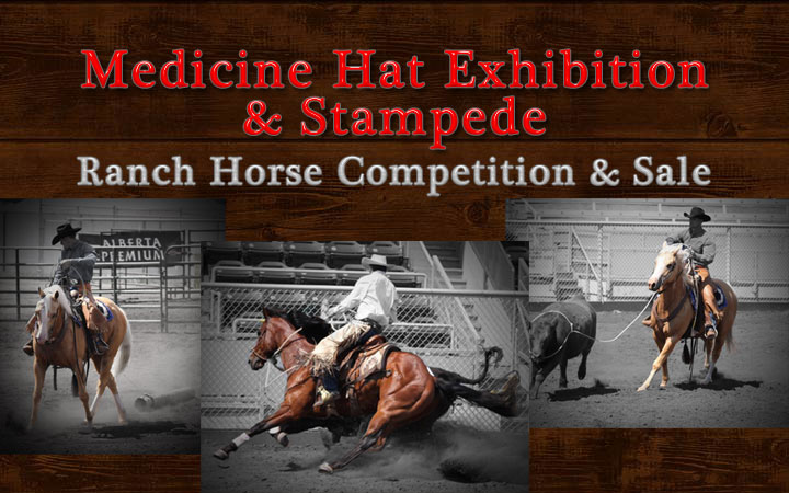 Medicine Hat Exhibition & Stampede Ranch Horse Competition & Sale