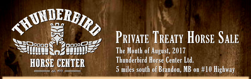 Thunderbird Horse Center Private Treaty Horse Sale