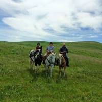 Out for a nice trail ride.  Paisley on Keotas Fast Cash, Cathy on Mighty Blue N True, and Jake on Amber N Ivory