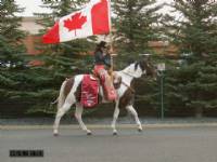 Keotas Fast Cash and Miss Rodeo Canada leading the Whoop-Up Days parade.