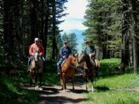Trail ride 2007.  Horses from left to right Mighty Blue N True, Shesa Frosty Nic, and Baileys Inkling