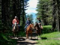 Trail ride 2007. Horses from left to right Mighty Blue N True, Shesa Frosty Nic, and Baileys Inkling