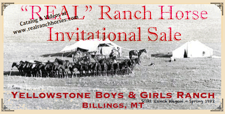 2018 Real Ranch Horse Sale