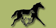 Northernhorse.com - Canada's most popular horse website