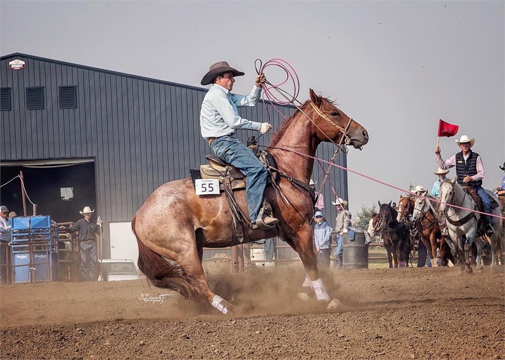 Image #4 (Hickorys Blue Spade)