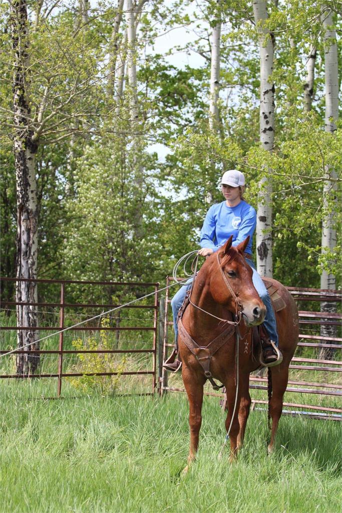 Image #5 (Hickorys Blue Spade)