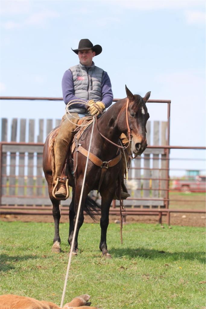 Image #4 (Chicken Little Doc)