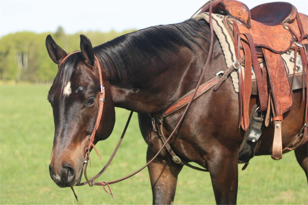 Image #2 (Chicken Little Doc)