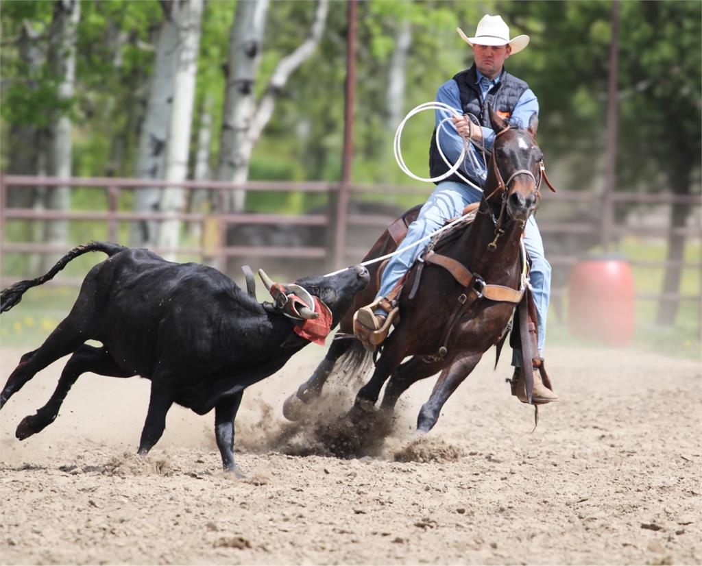 Image #5 (Chicken Little Doc)