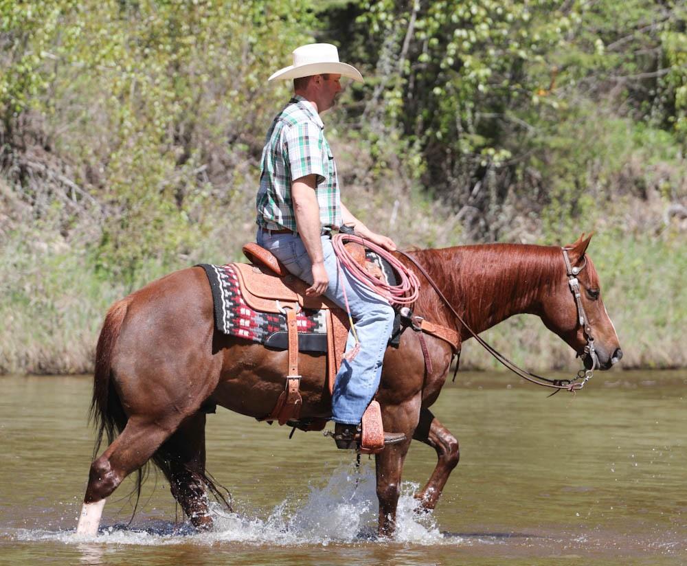 Image #3 (Zans Silent Fynn)