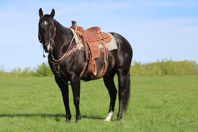 Image #2 (Five Dollar Pistol)