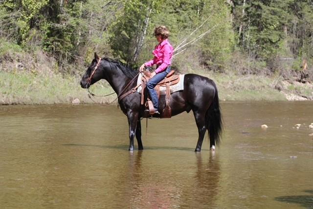 Image #5 (Five Dollar Pistol)