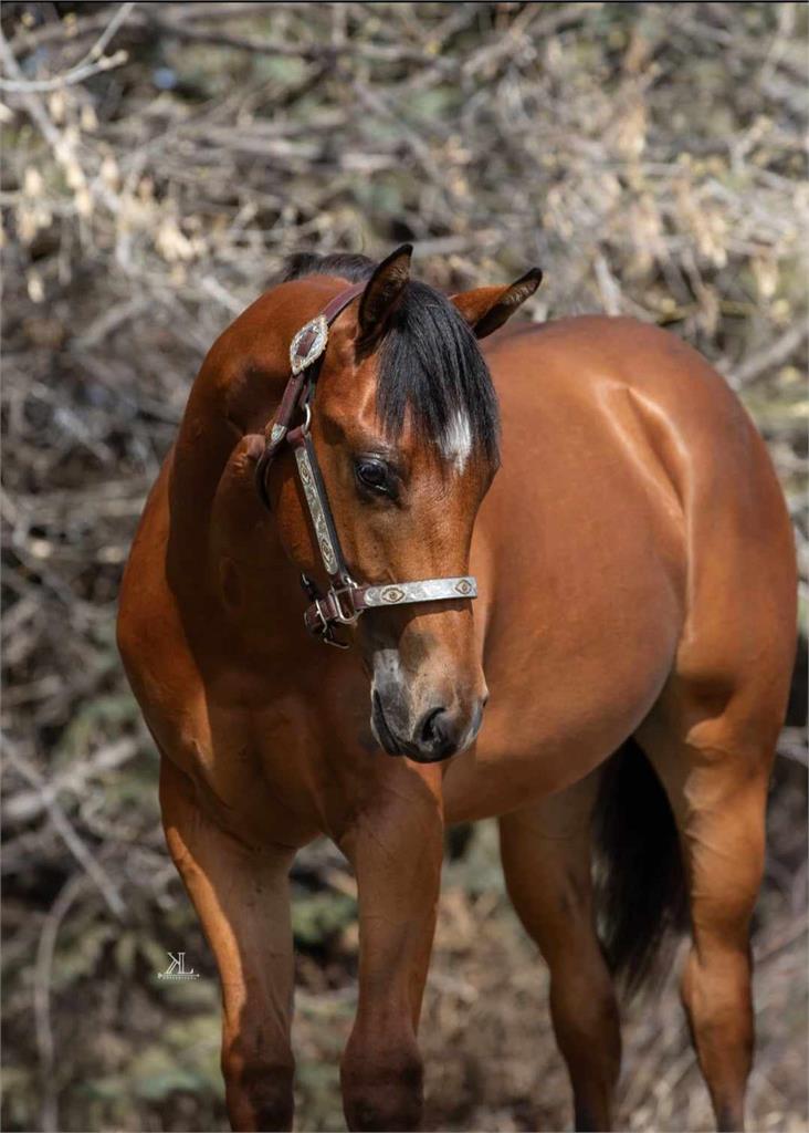 Biggr Mistakes Than U