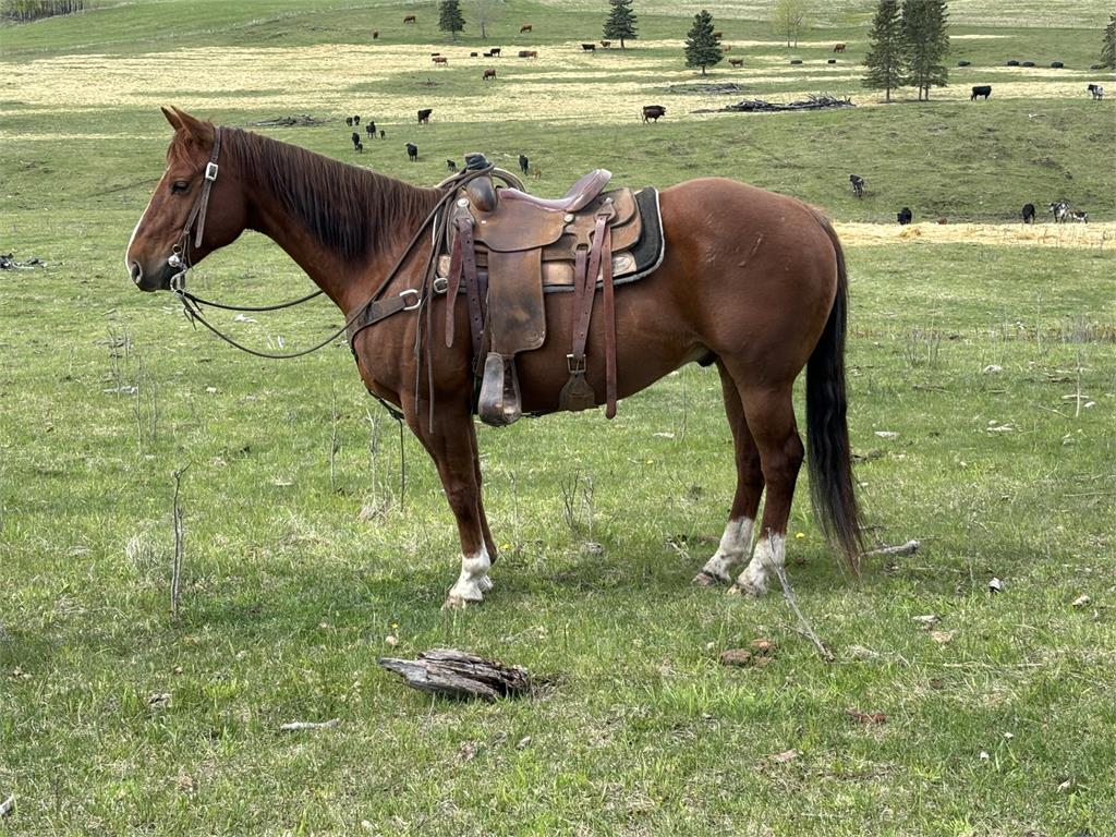 Stormys Dirty Secret