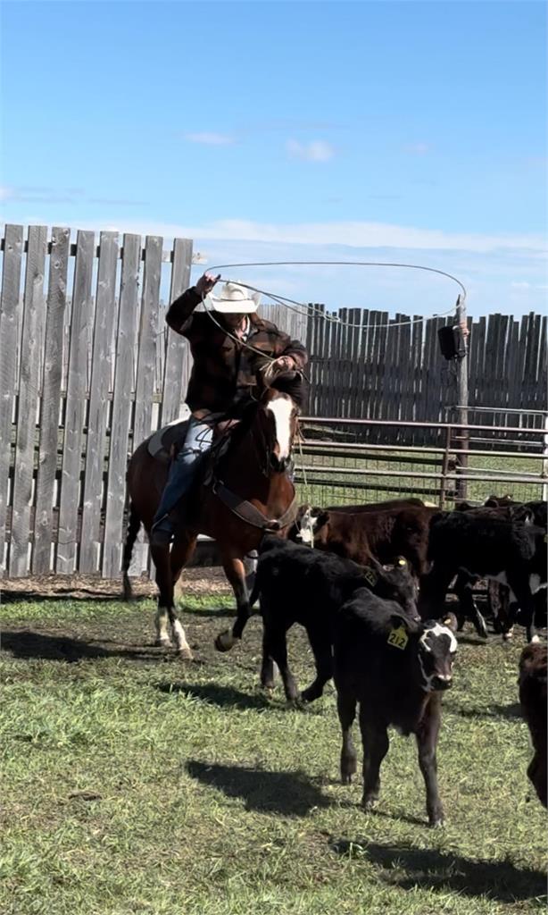 Image #4 (Magic Bluejae 19)