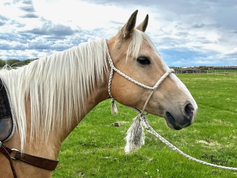 Image #4 (Rex Noble)