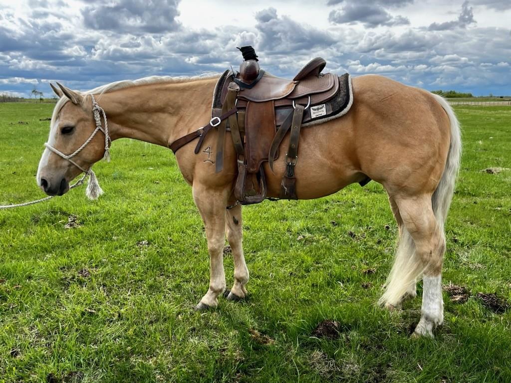 Image #3 (Rex Noble)