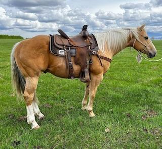 Image #2 (Rex Noble)