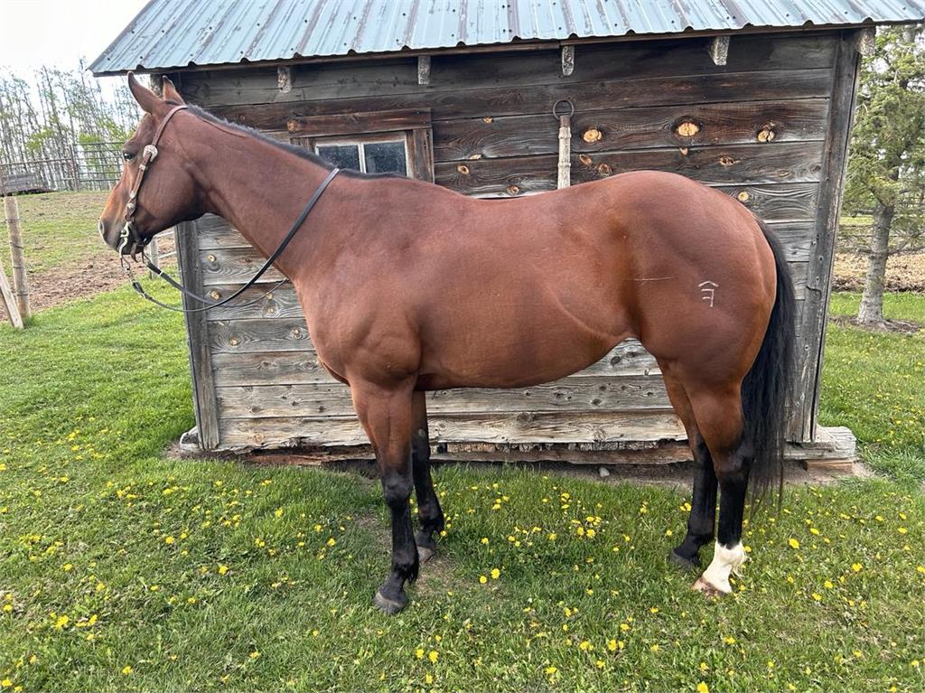 Image #2 (Smartlilwrenolena)