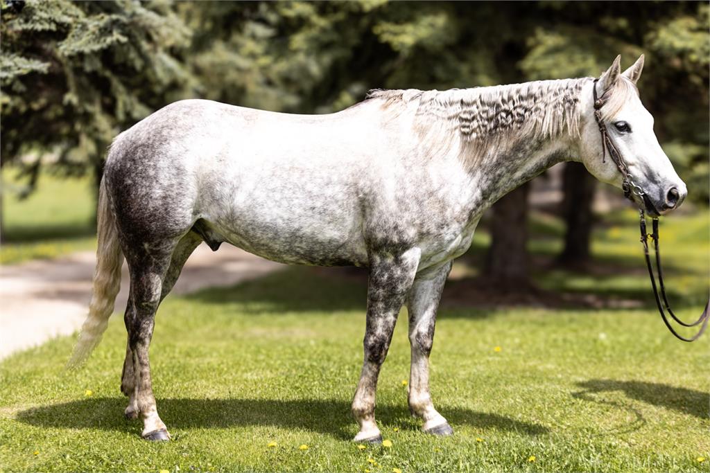 Image #2 (Mite B A Redbuck 19)