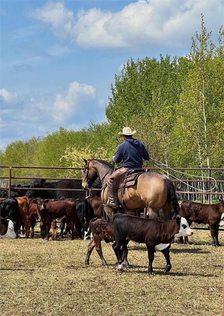 Image #4 (BS Docs Smart Rey)