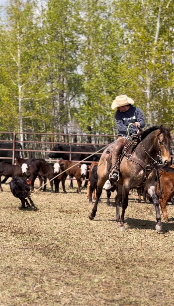 Image #3 (BS Docs Smart Rey)