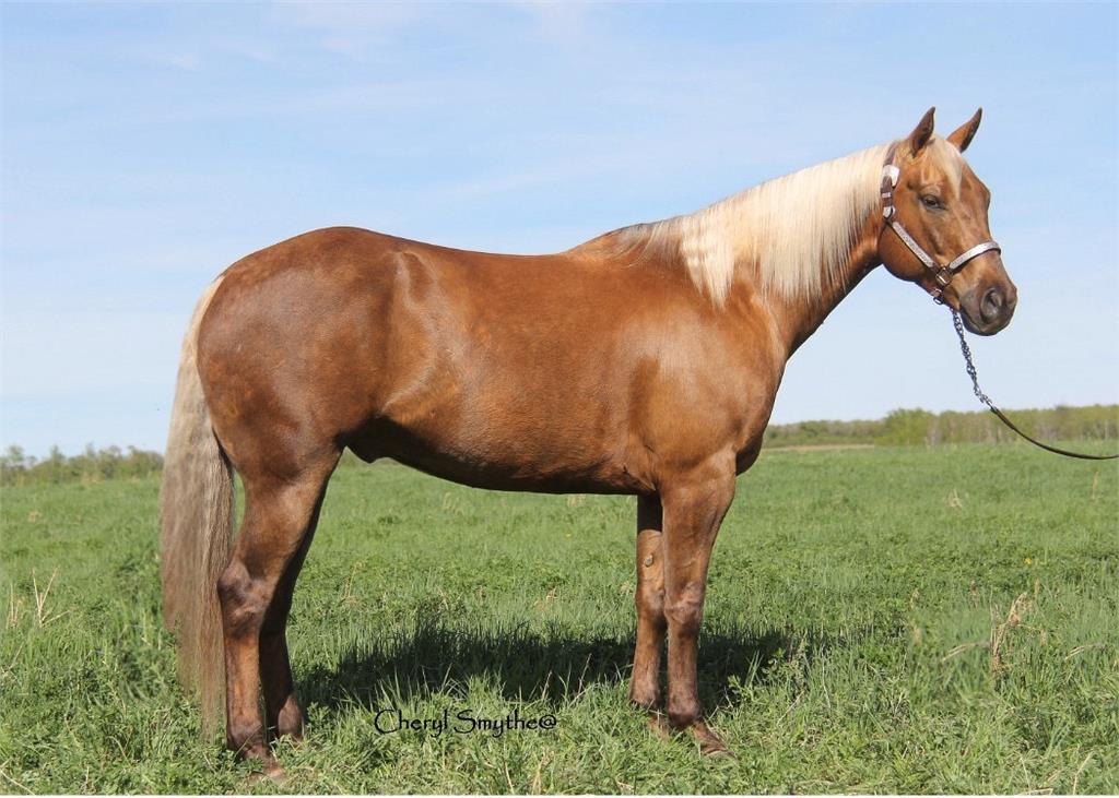 Image #2 (King Frosty Flint)