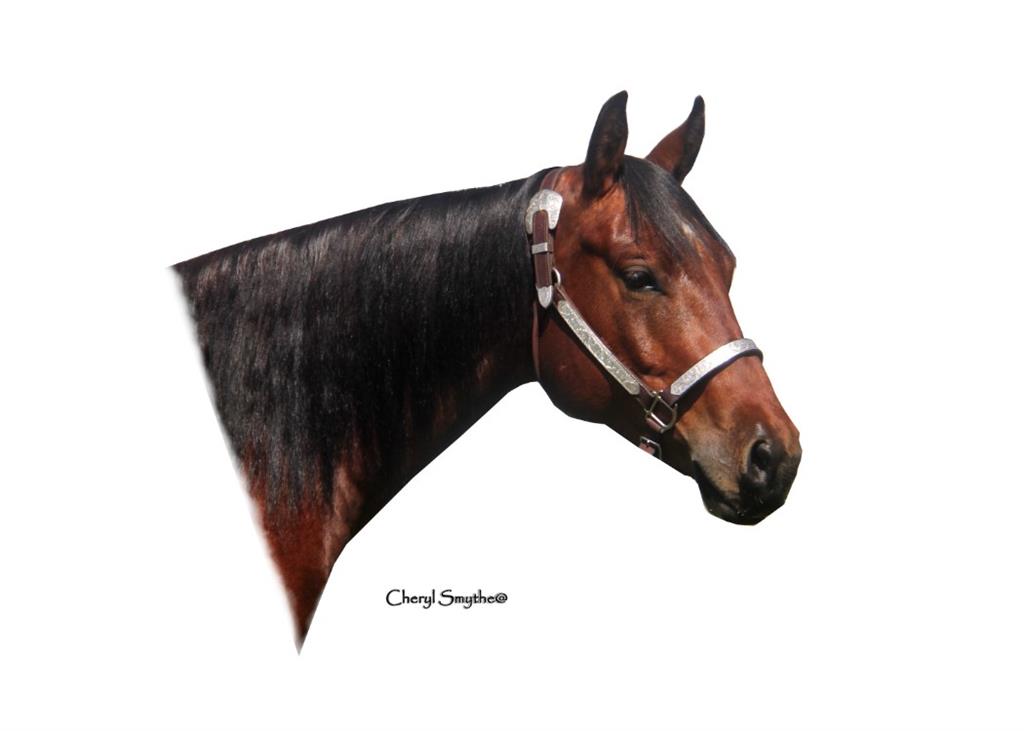 Image #3 (Count Acey)