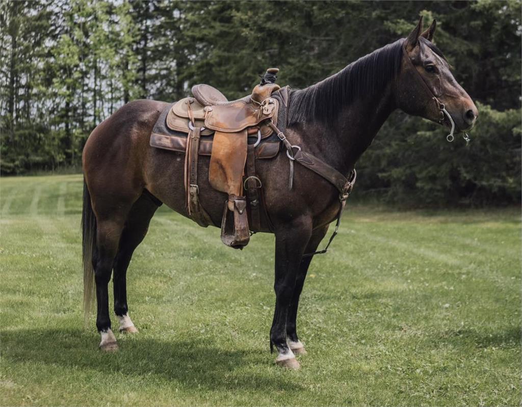 Image #5 (Red Winchester 19)