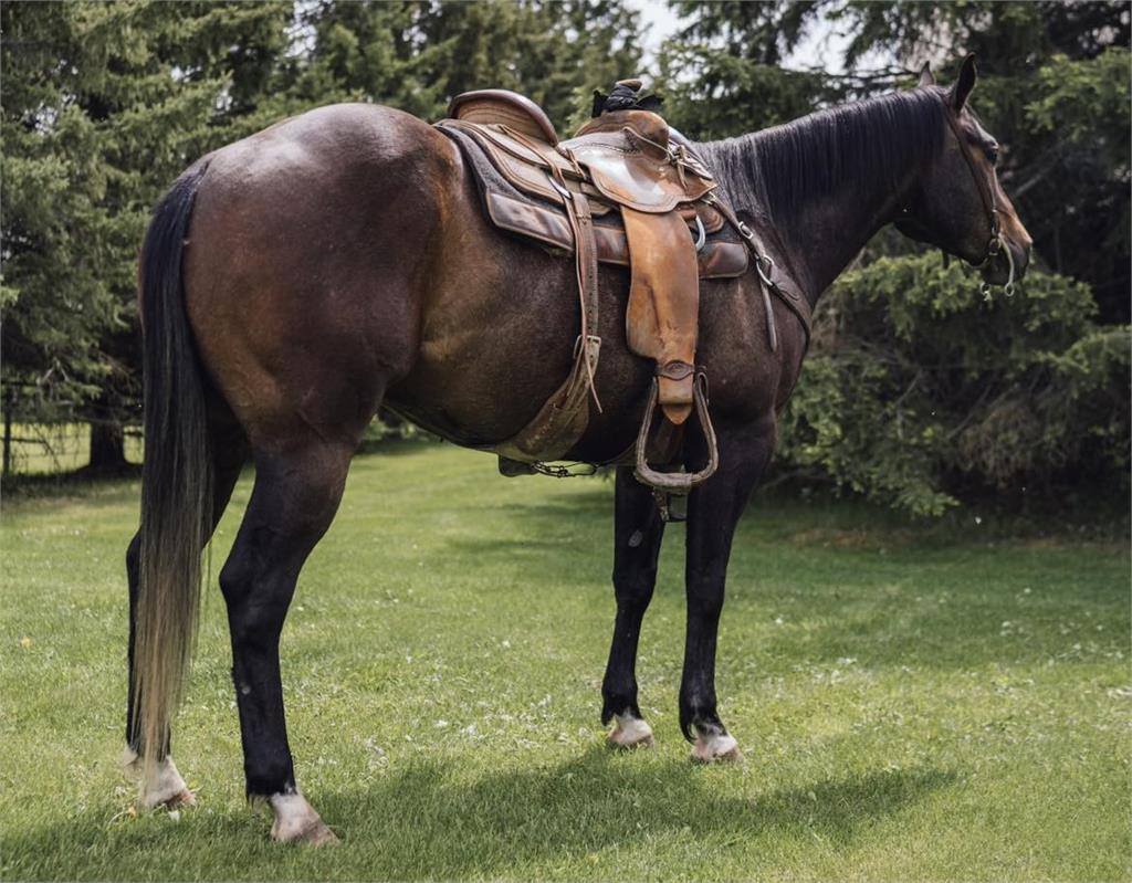 Image #2 (Red Winchester 19)