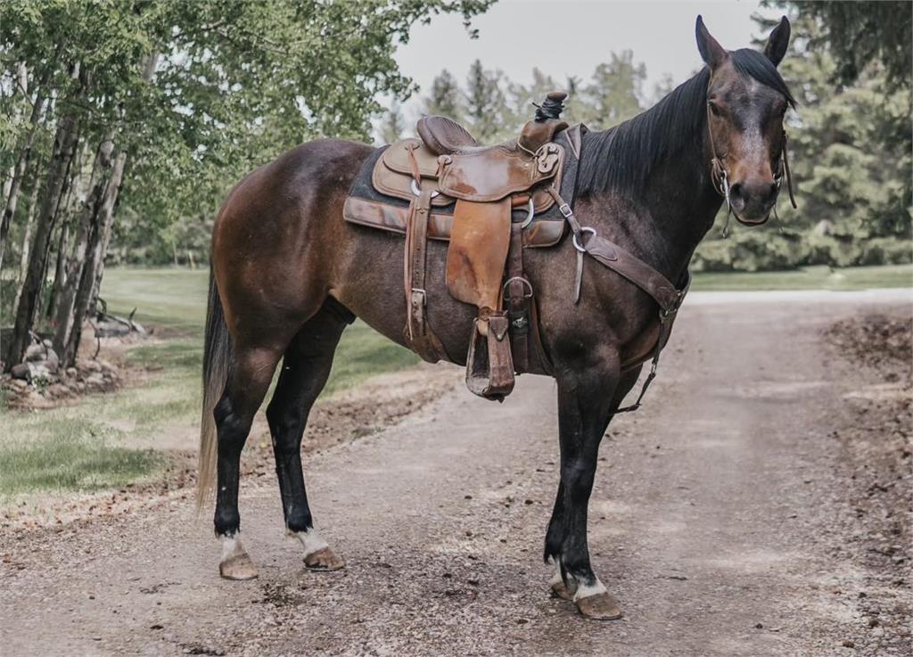 Image #4 (Red Winchester 19)