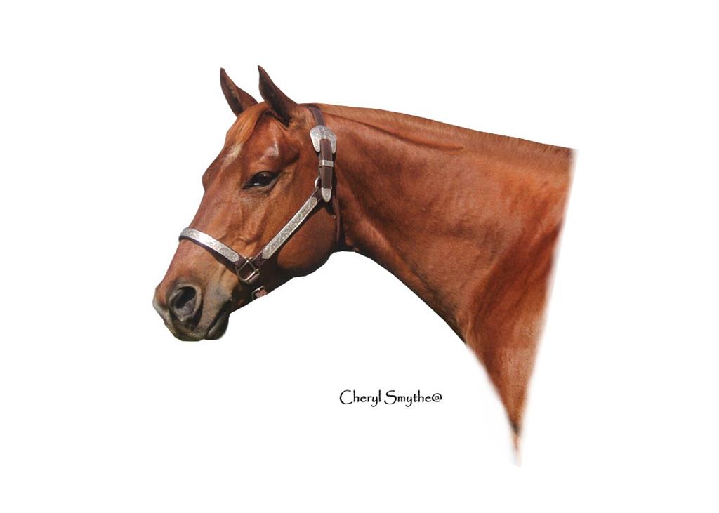 Image #2 (Rbar Spin N Guns)