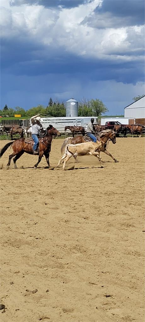 Image #4 (King Frosty Flint)