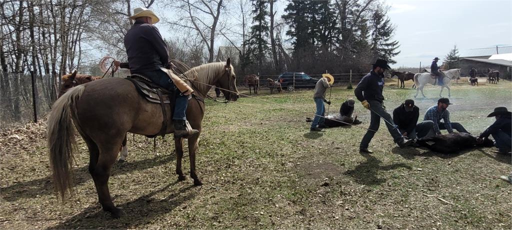 Image #5 (King Frosty Flint)