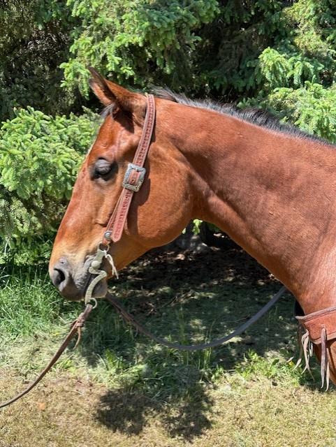 Image #3 (JXL Two Blue Smoke)