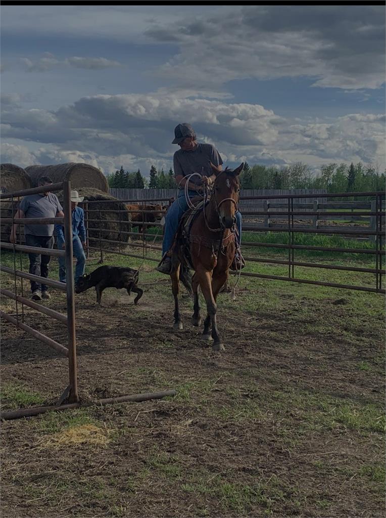 Image #5 (JXL Two Blue Smoke)