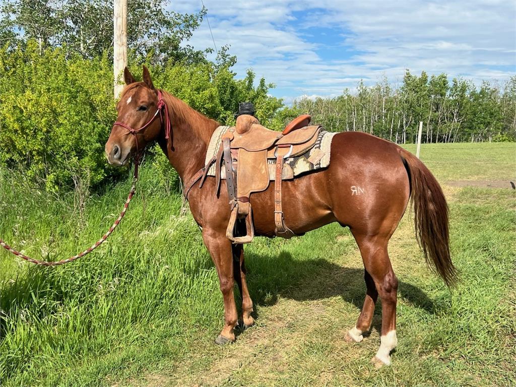 Spooningwithmetallic