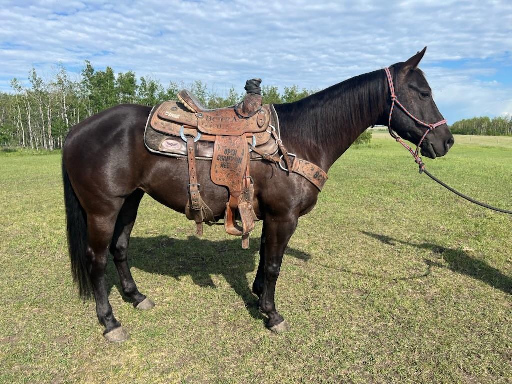 Gayla Plenty O Smoke