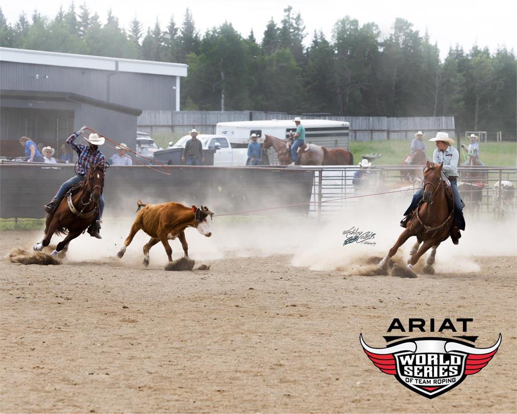 Image #3 (Hickorys Blue Spade)