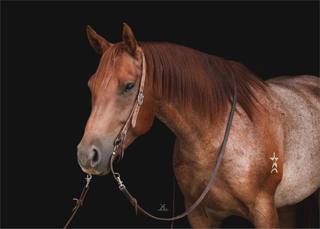 Image #2 (Hickorys Blue Spade)