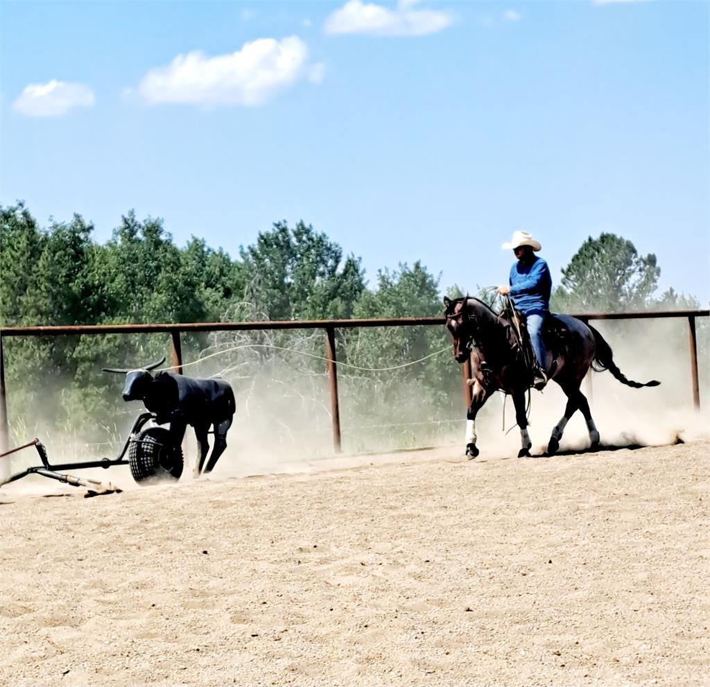 Image #2 (BR Fortune)