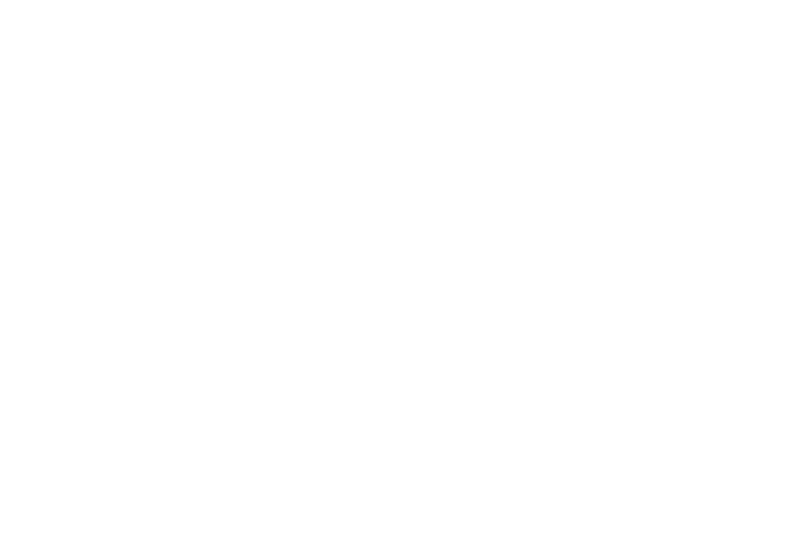 Northernhorse.com Logo