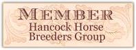 Hancock Horse Breeders Group member