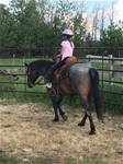 Shaye riding a Cowboy 5 year old 