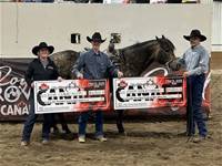 Welcome to Betts Quarter Horses and Double TT Mini  Aussies!