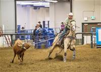 Welcome to Betts Quarter Horses and Double TT Mini  Aussies!